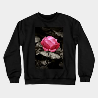 One Pink Rose Crewneck Sweatshirt